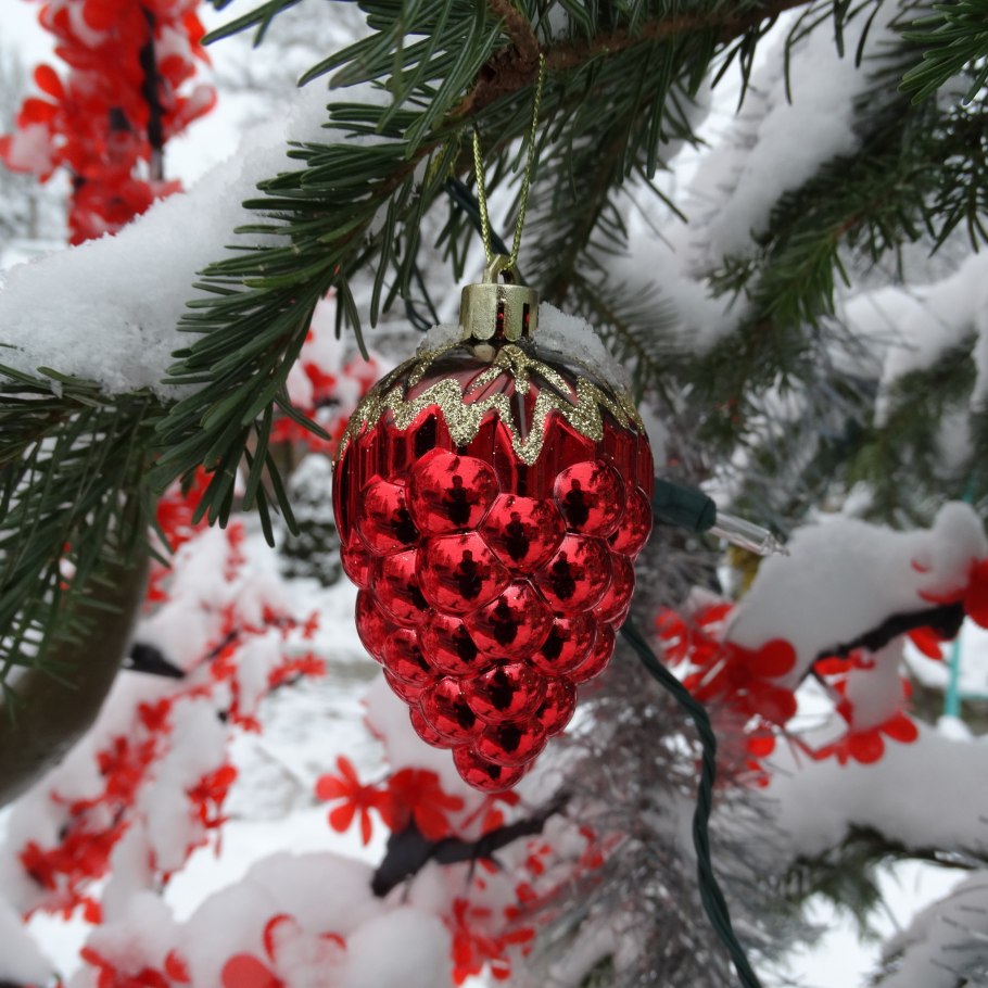 Дерево рябина зимой