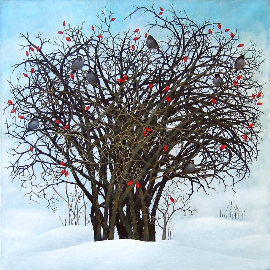 Гранатовое дерево вид сверху