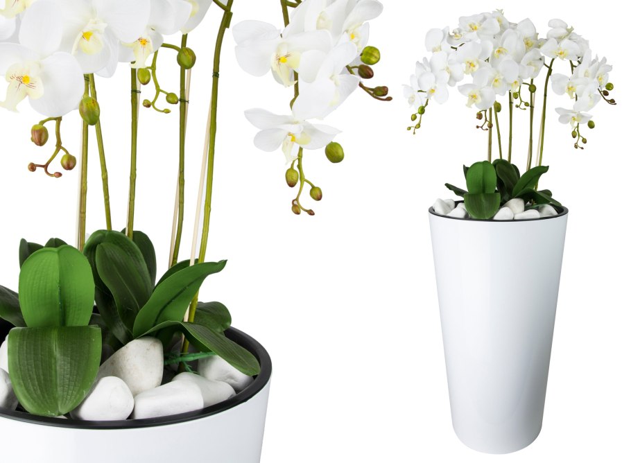 Орхидея в горшке
