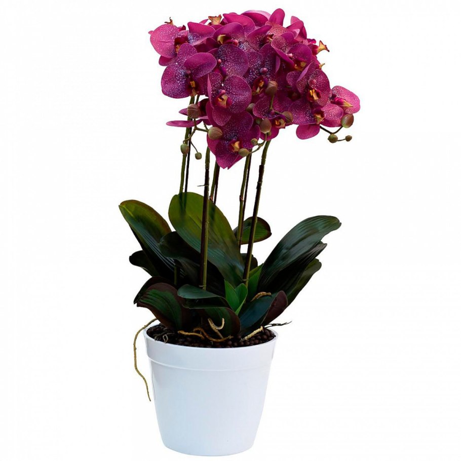 29bj-jf218 Орхидея темно-розовая в горшке 64 см