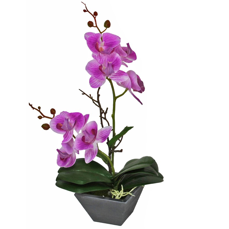 Плошки для орхидей