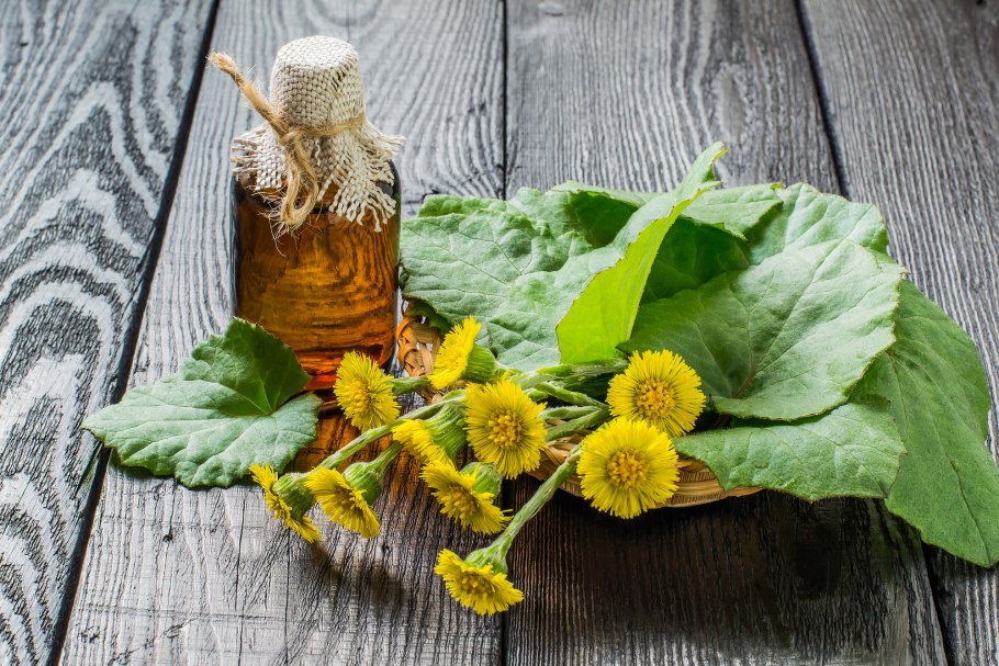 Бабочка на мать и мачехи