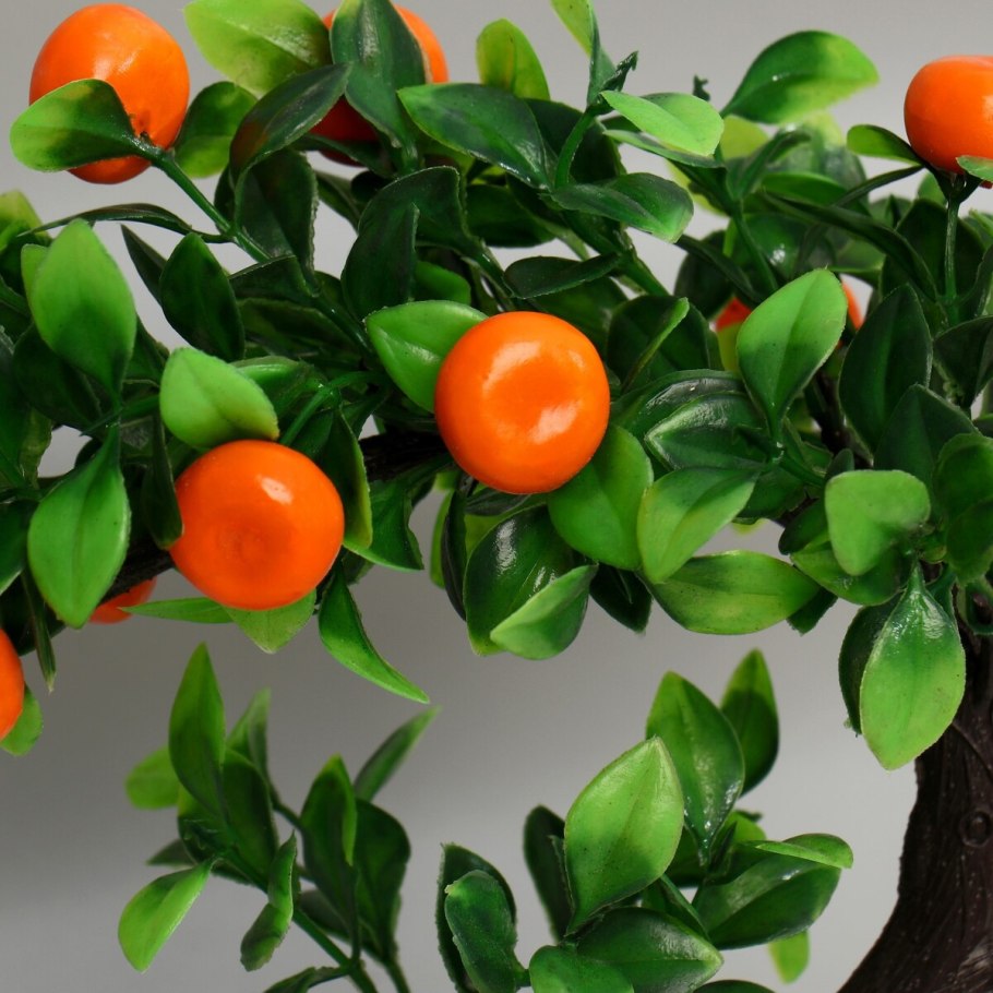 Мандарин зеленый фото дерево в Турции