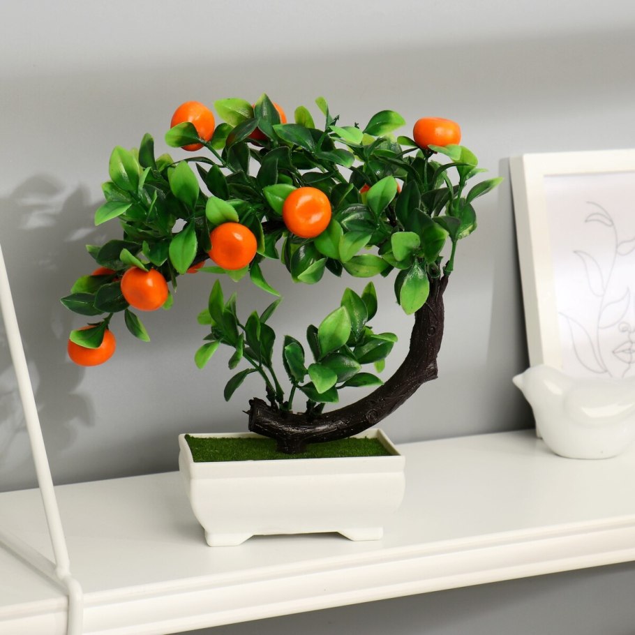 Фортунелла кумкват бонсай