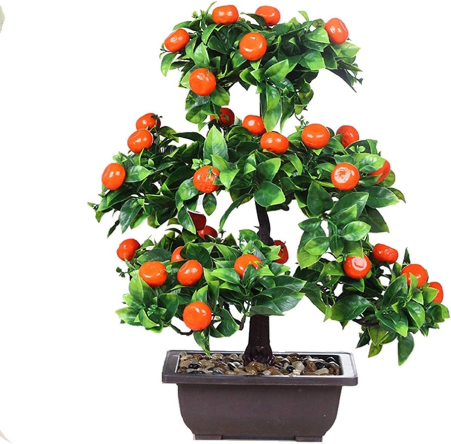 Мандариновое дерево Марина Шурховецкая