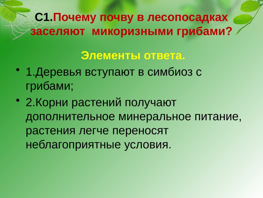 Организмы проживающие в почве