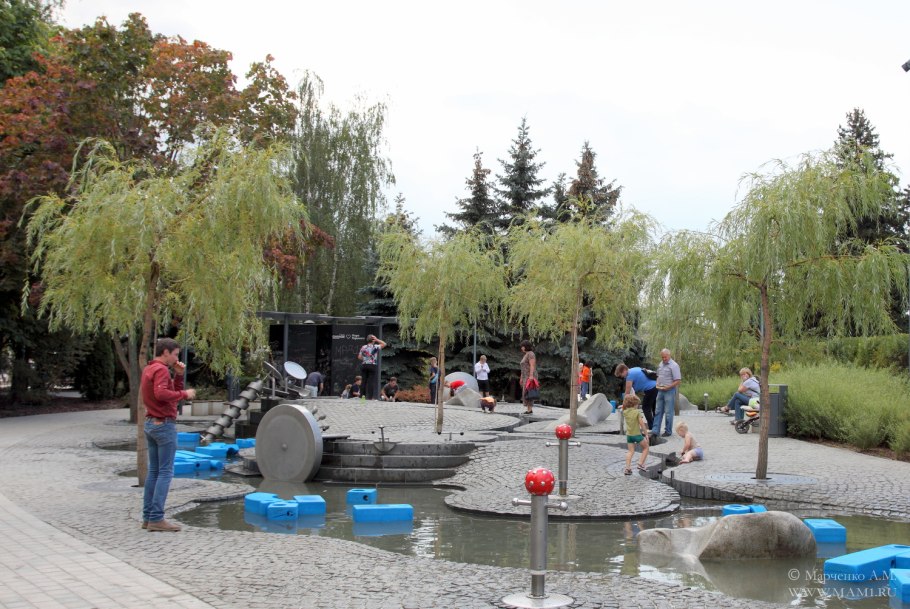 Ива гибридная Шверина улучшенная