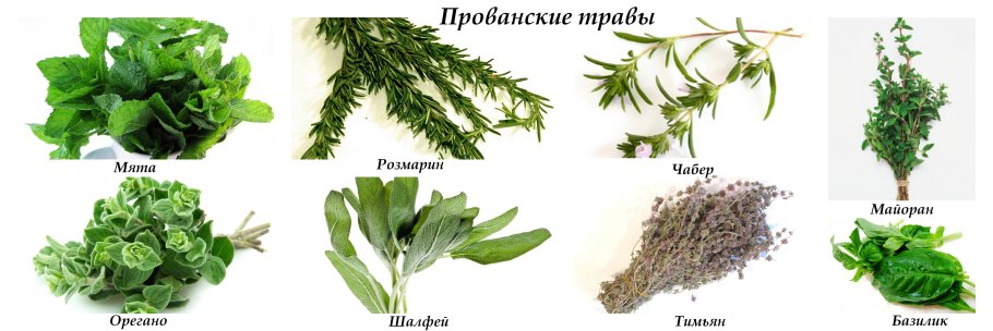 Альпийские Луга Северного Кавказа