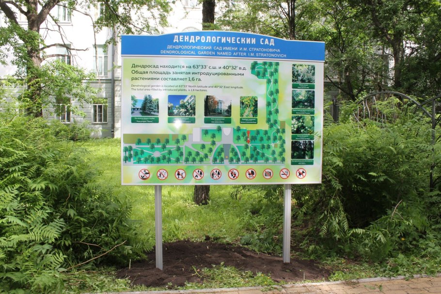 Дендрологический сад САФУ