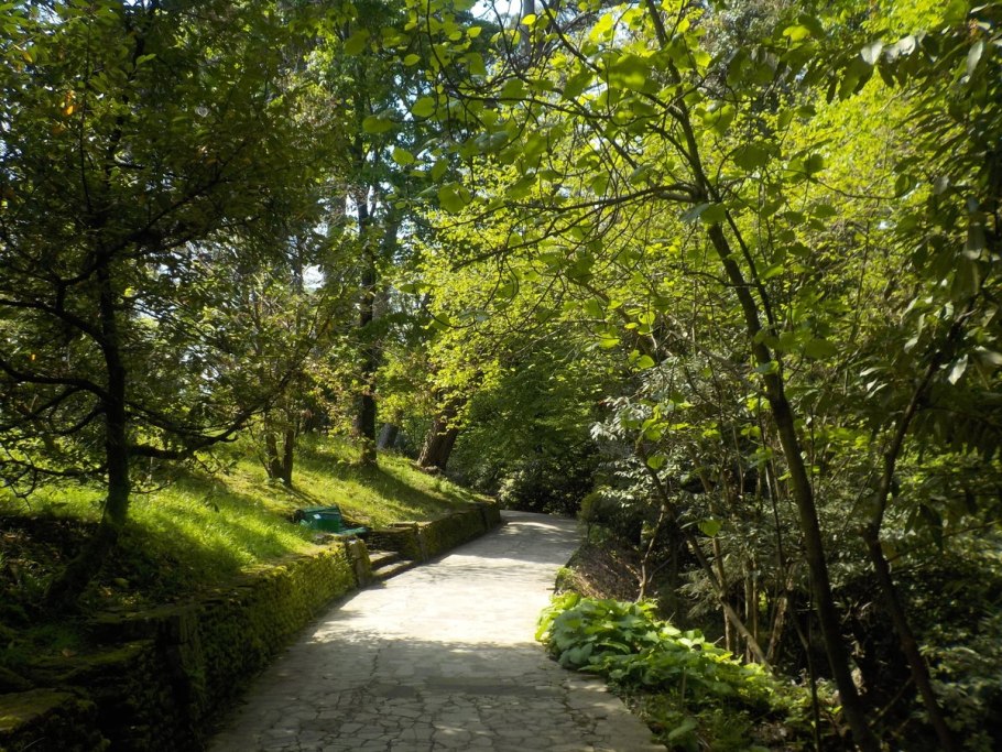 Дендрарий САФУ Архангельск