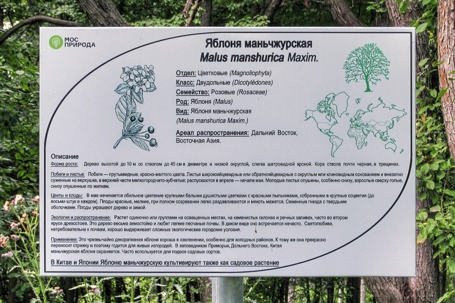 Дендрологический парк и Ботанический сад это