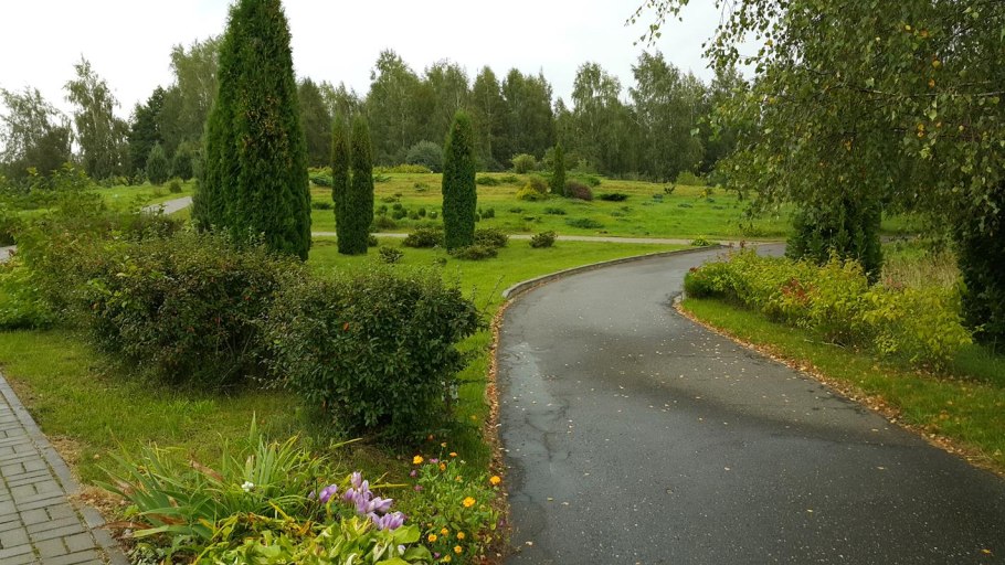 Дендрологический сад САФУ Архангельск