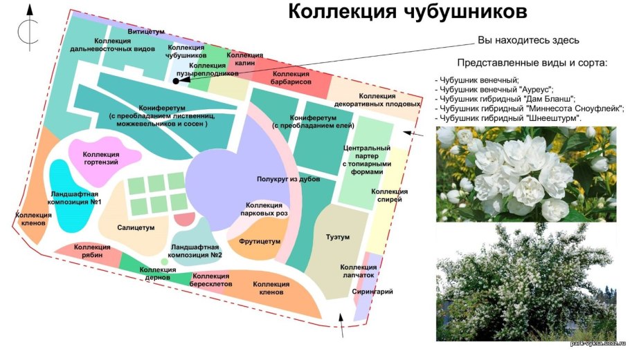 Карта природных зон России 4