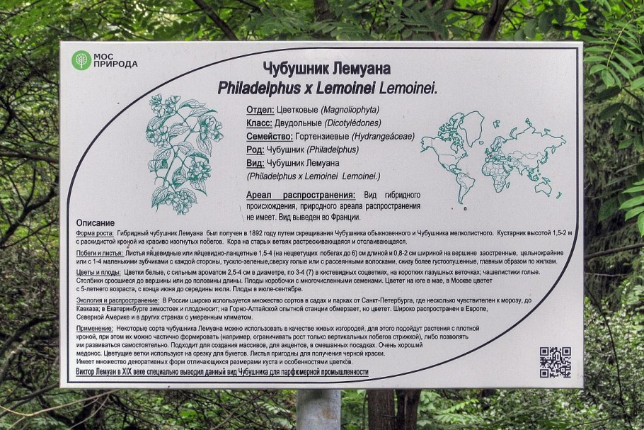 План дендрария Краснодар