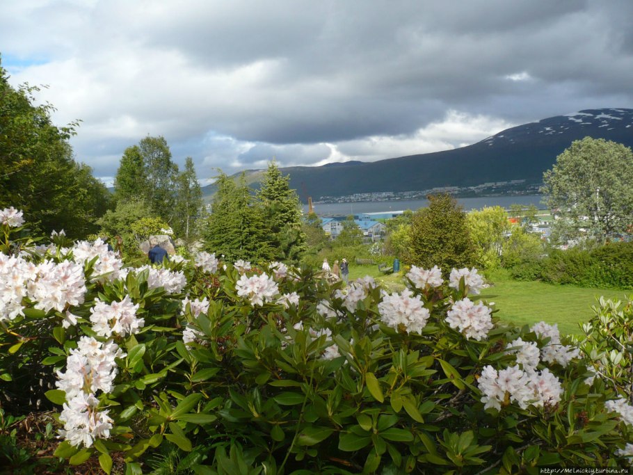 Донецкий Ботанический сад нан Украины