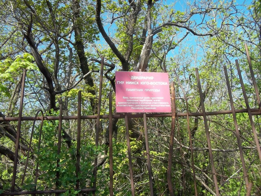 Дендрологический парк Екатеринбург план