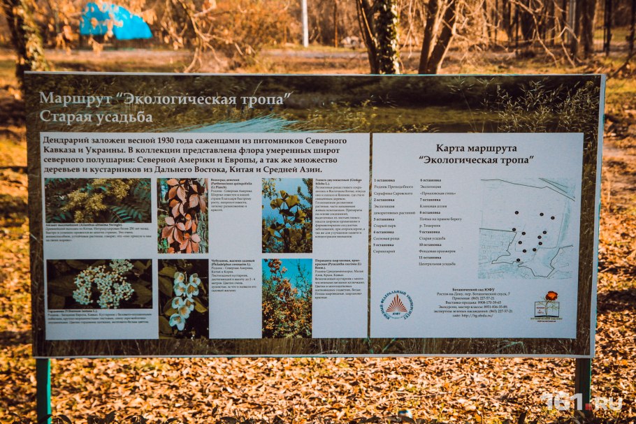 Дендрологический сад Тимирязевской Академии