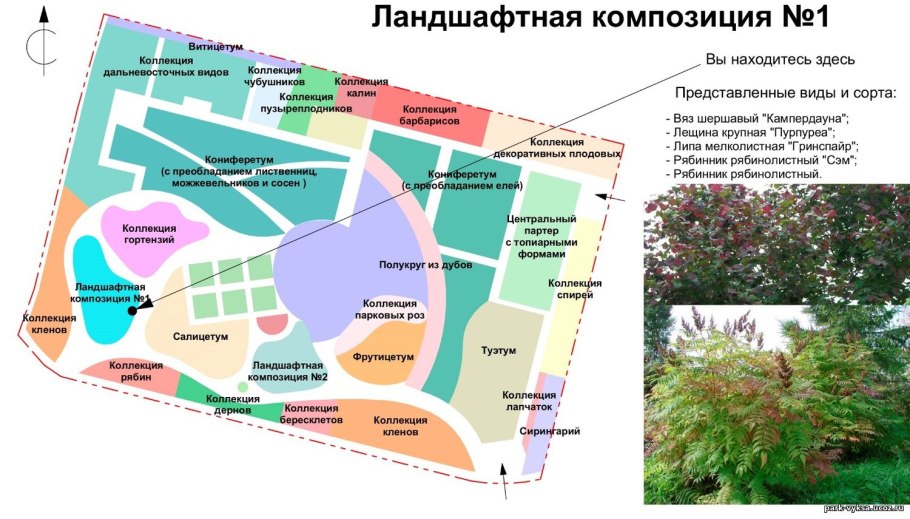 Ботанический сад Цицина оранжерея