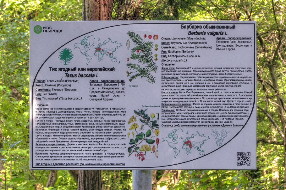 План дендрария Краснодар