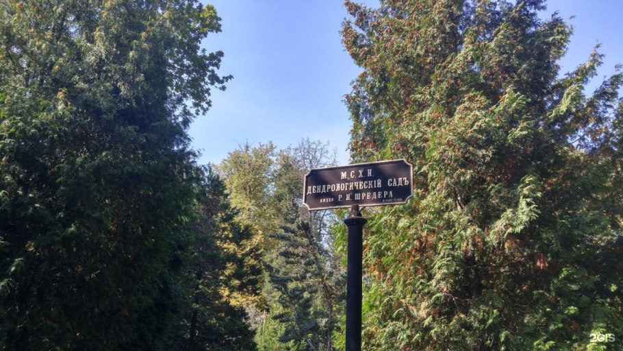 Дендрарий Комсомольского лесничества Дендрарий Аветисяна