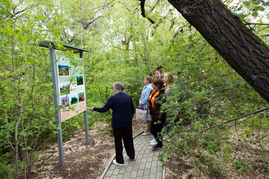 Дендрологический сад в Архангельске