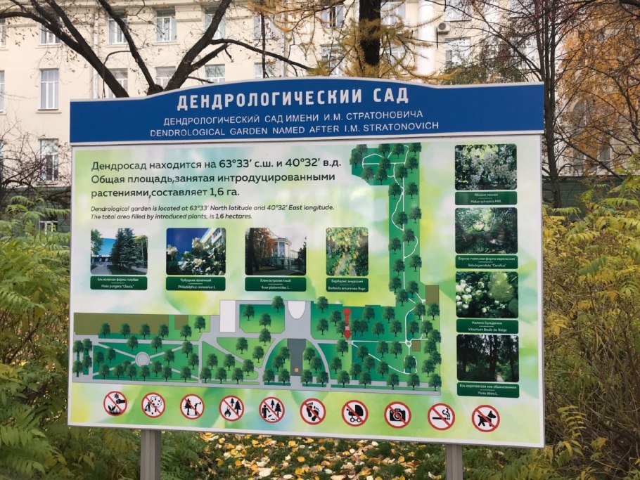Дендрологический парк
