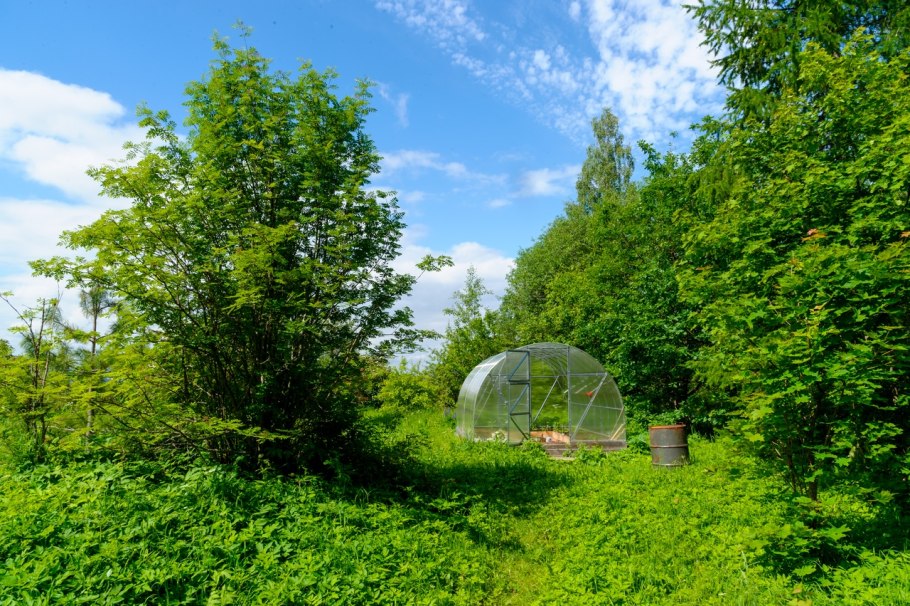 Дендрологический сад ВГМХА