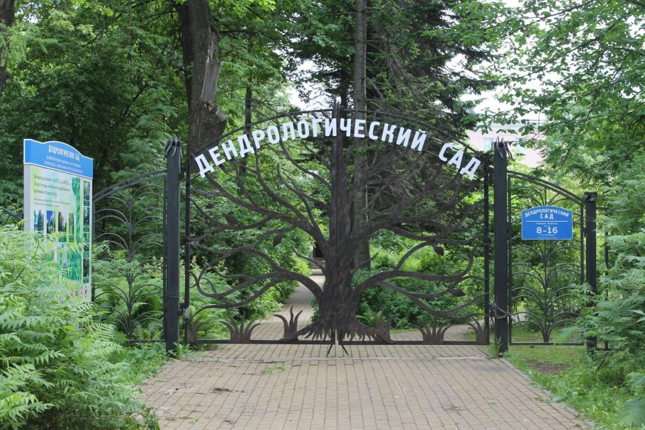 Дендрологический парк Шредера