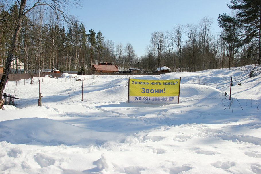 Жиздра Дендрарий