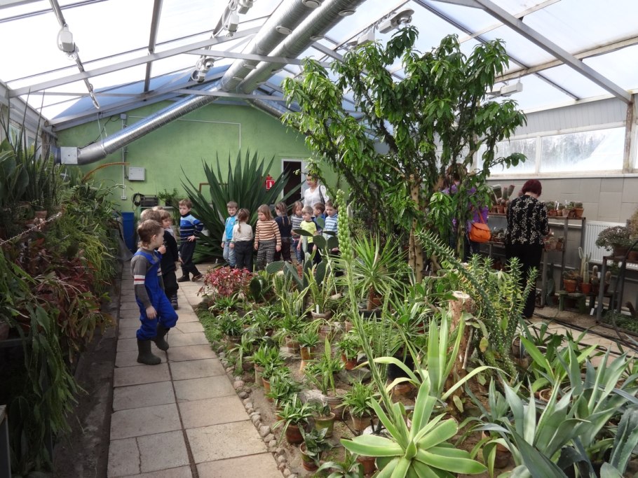 Субтропический климат Сочи снег