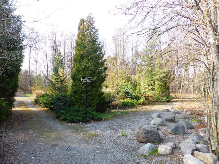 Дендрологический сад Тимирязевской Академии