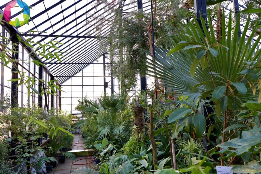 Флора Ямала