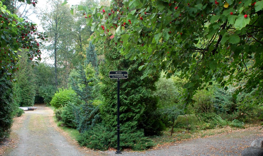 Альпийский Ботанический сад Норвегия