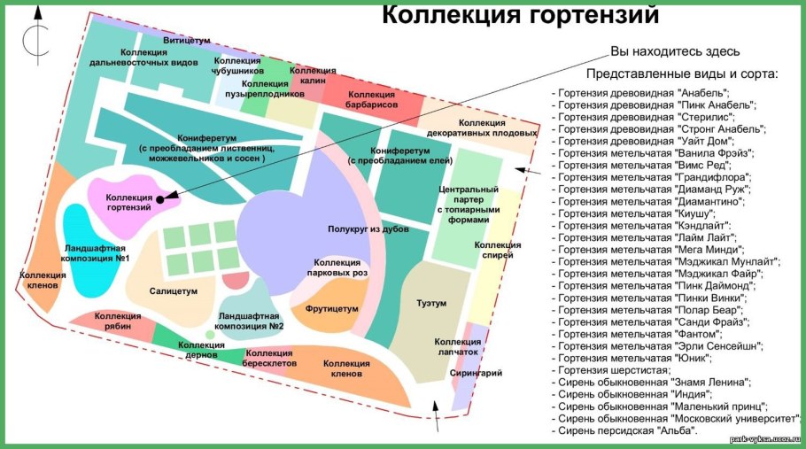 Дендрарий института леса