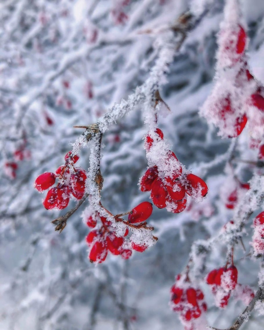 Снег гололед