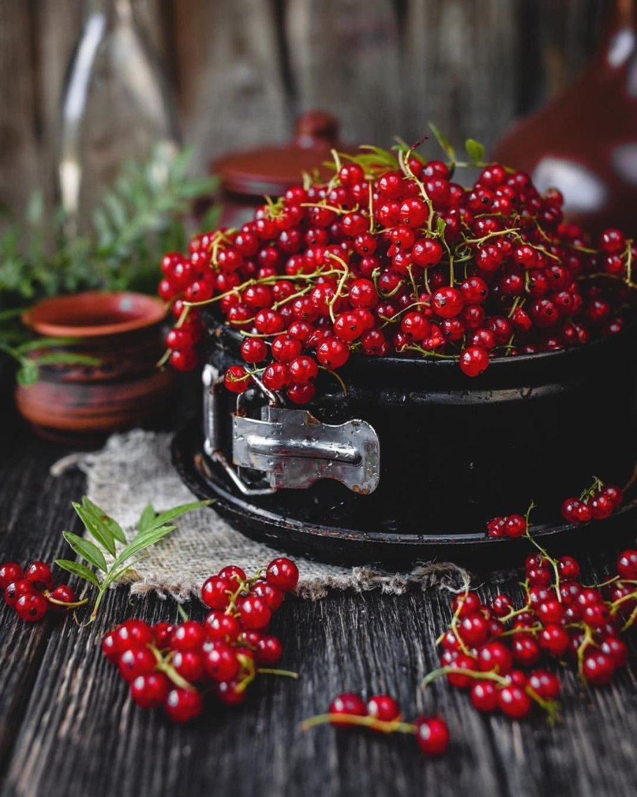 Смородина красная Йонкер Ван тетс