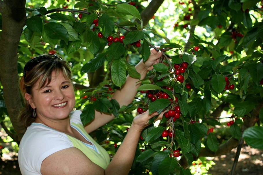 Черешня саммит