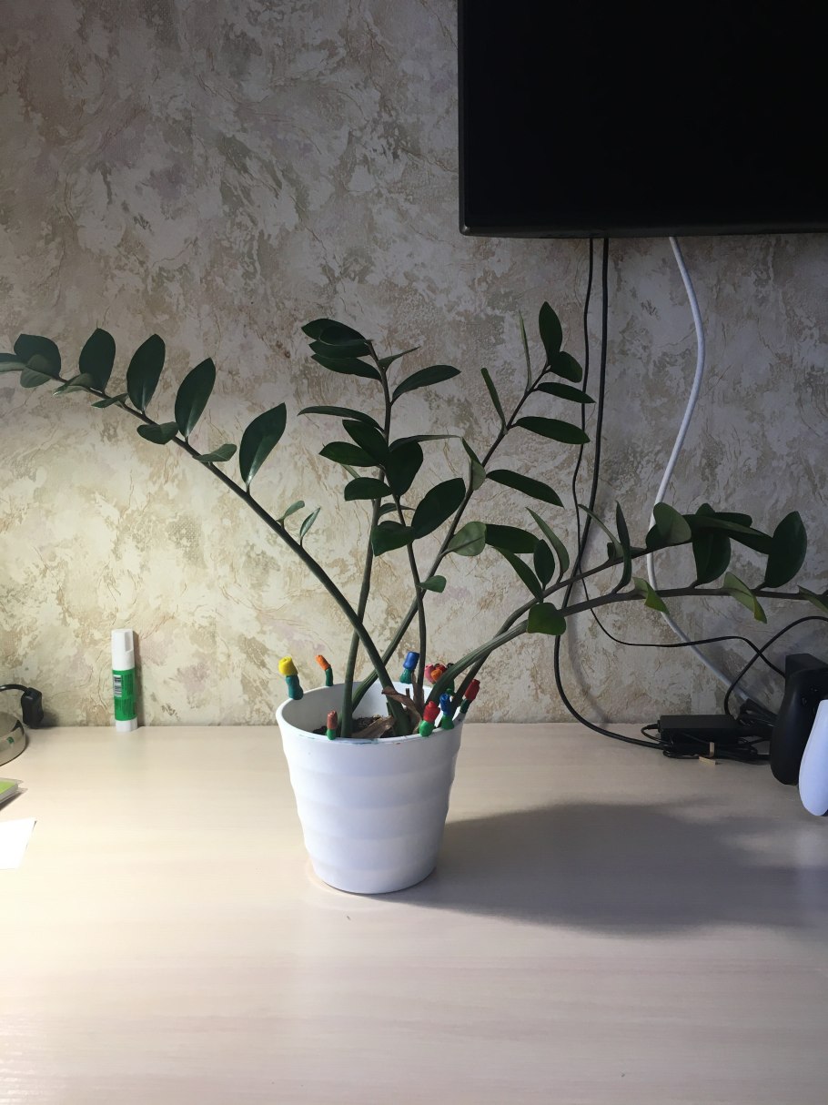 Вид орхидеи без листьев