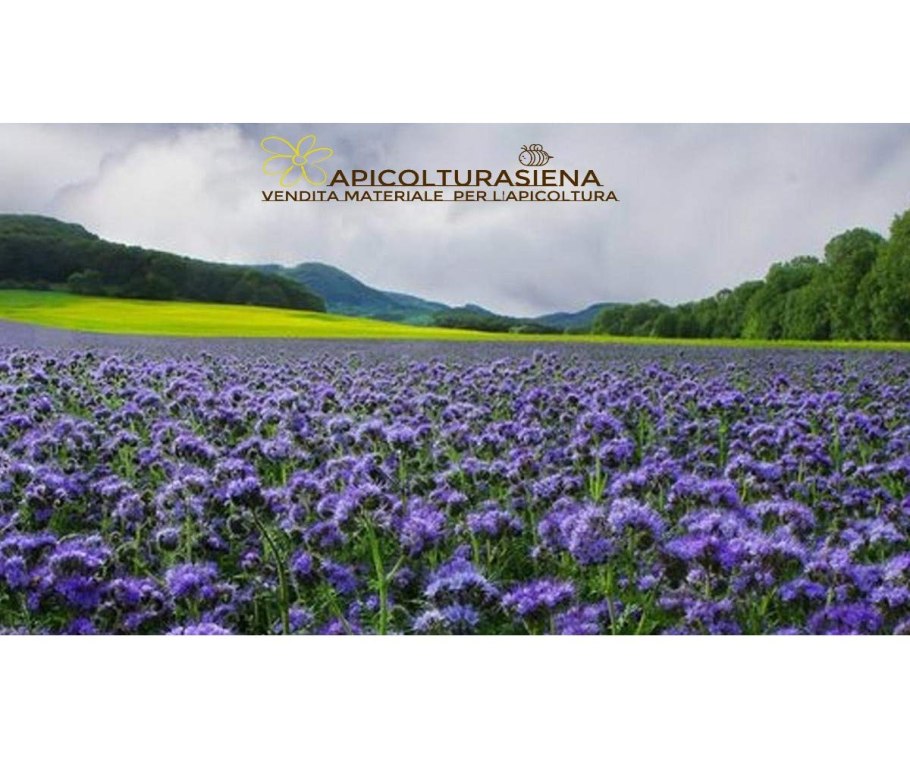 В Вологодской области много лугов?