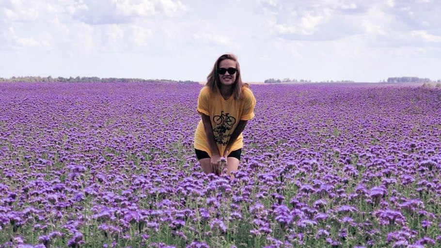 Пижма фацелия