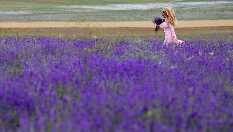 Крестьянское хозяйство фацелия