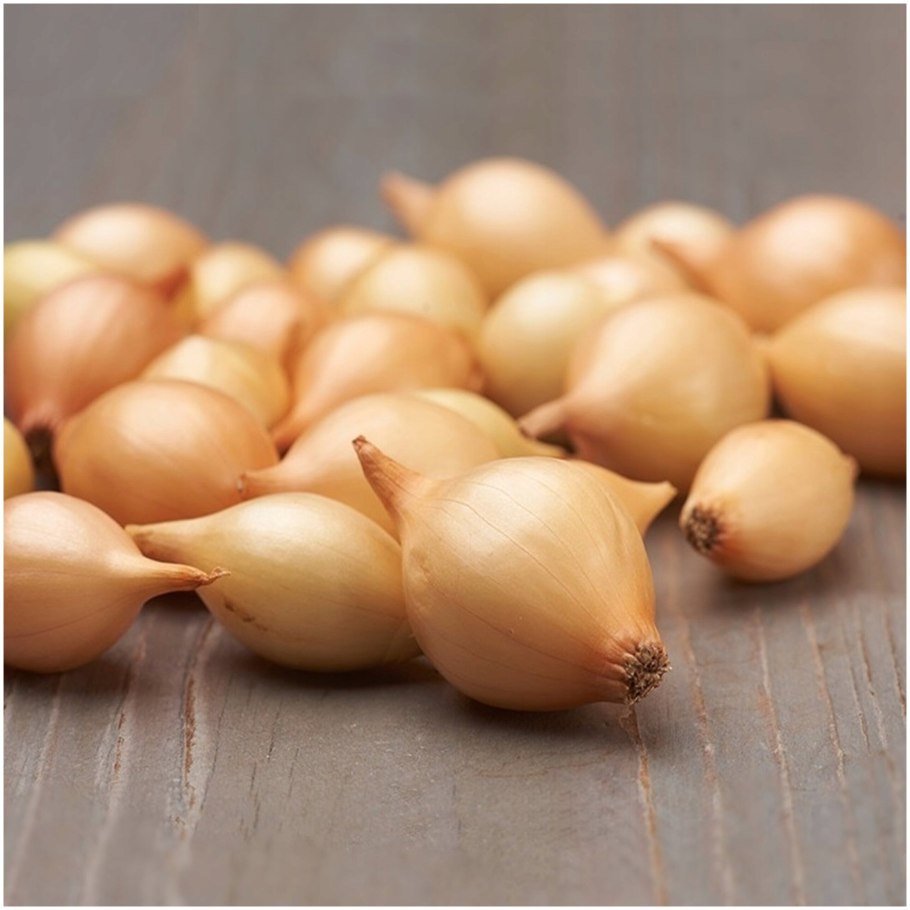 Лук-севок озимый Сеншуй Йеллоу