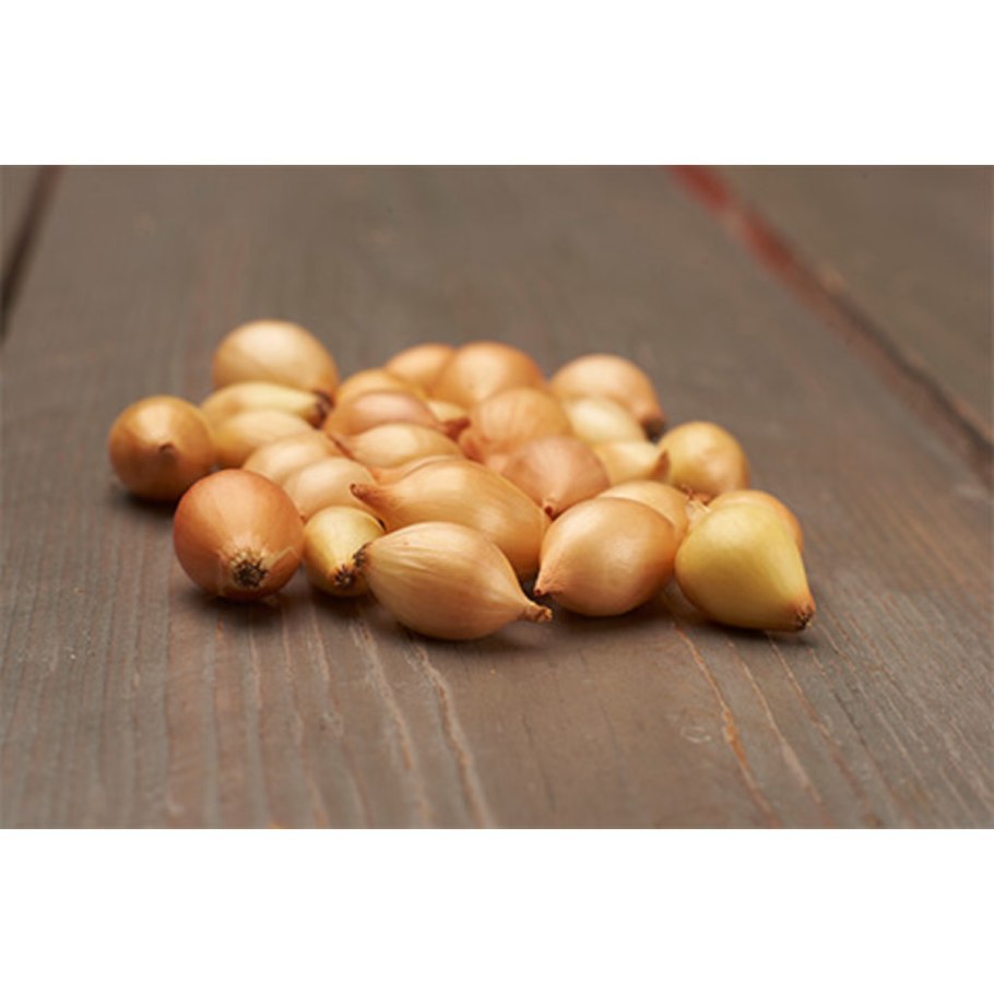 Лук-севок Штуттгартер Ризен, (14/21, 1 кг)