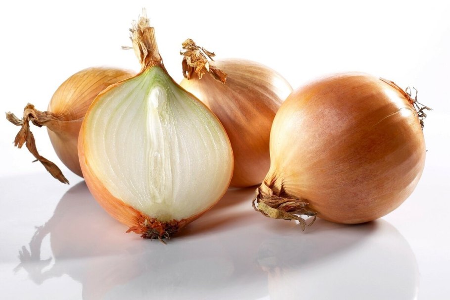 Репчатый лук