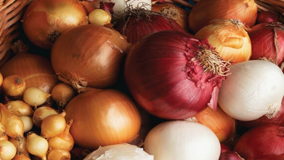 Лук Коррадо f1