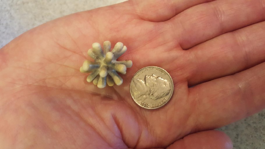 Халцедон почковидный