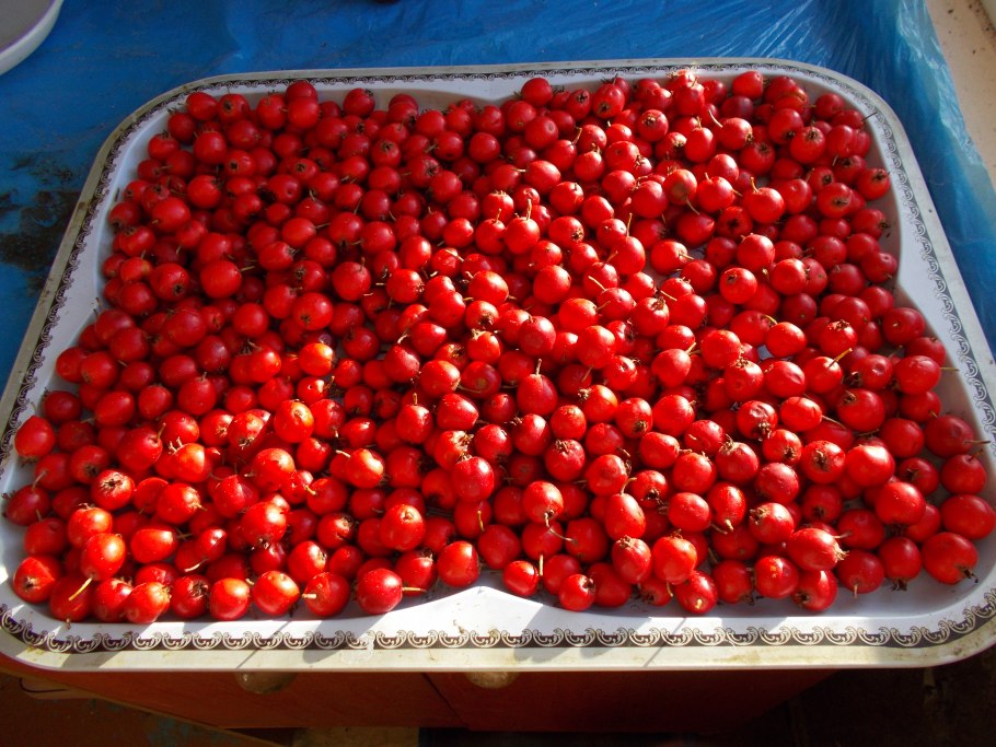 Боярышник ягоды