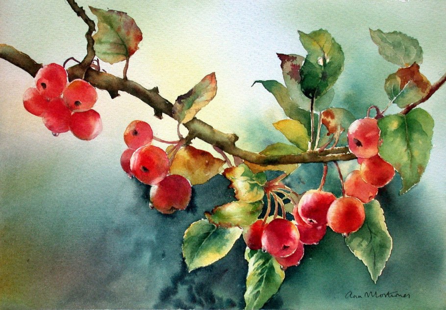 Боярышник шиповниковый