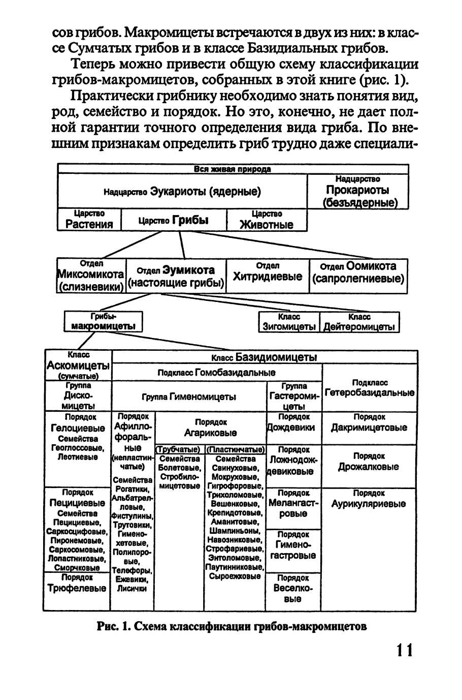 Сравнительная характеристика споровых растений таблица