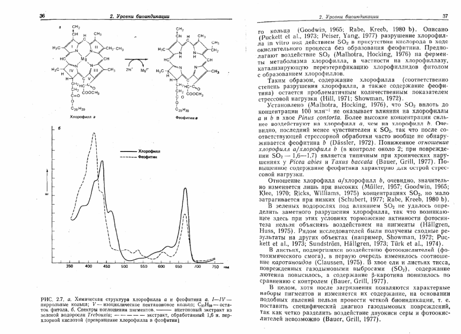 • Bryophytes отличительные растения кратко